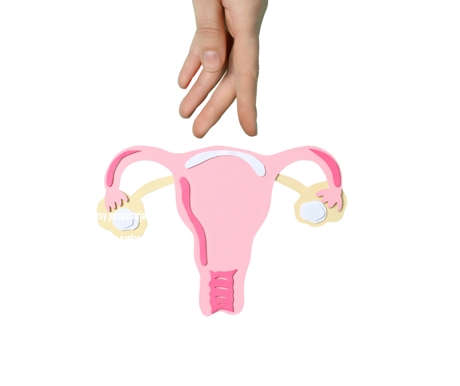 Wsparcie mikrobiomu intymnego